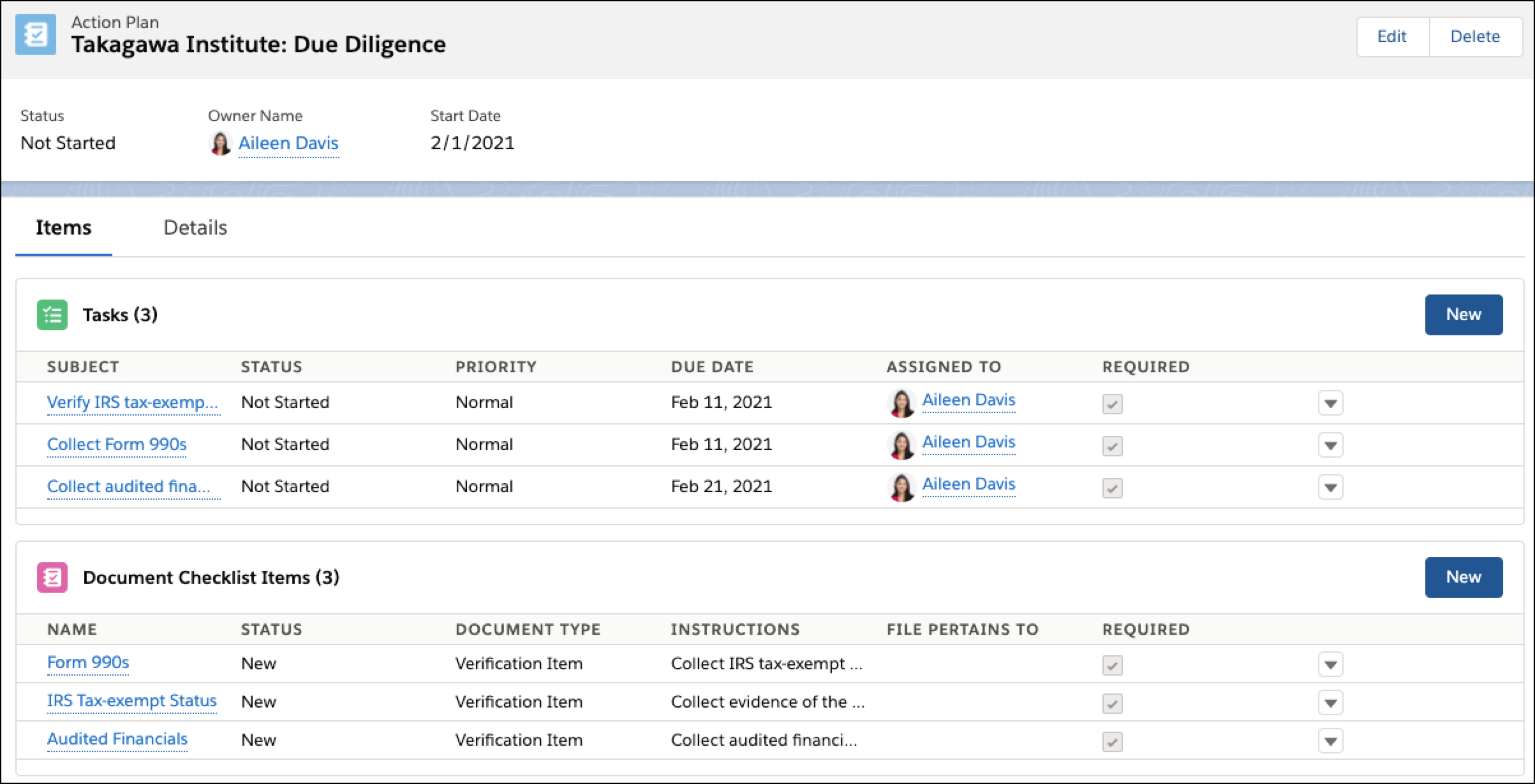 Example of an Action Plan with Tasks and Document Checklist Items.