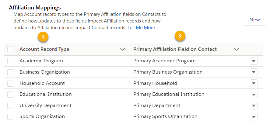 Affiliation mappings in EDA Settings associate the EDA K-12 Architecture Kit default Account record types with Primary Affiliation fields on a Contact record