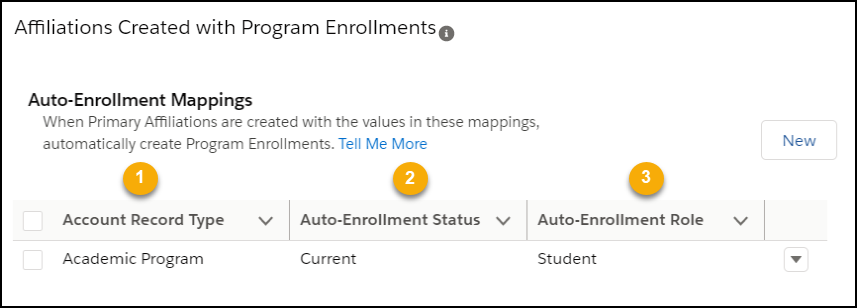 Default Auto-Enrollment settings for the Academic Program record type that automatically create a Program Enrollment record when creating a Primary Affiliation with the specified status and role