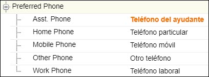 Paste translated field label from UI