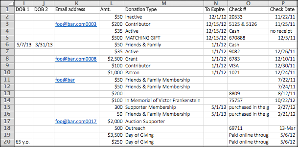 A donor tracking spreadsheet with four formatting issues.