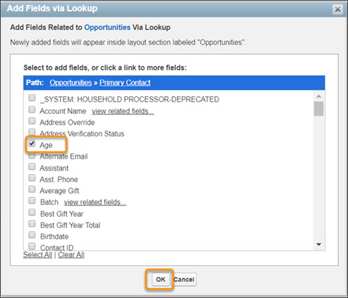 Select the Age field to add it to your custom report type