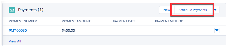 Schedule Payments button on the Payments related list.
