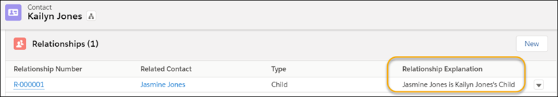 Relationship related list as seen from the Related Contact's record, with the Relationship Explanation: Jasmine Jones is Kailyn Jone's Child.