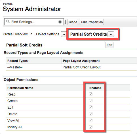 System Administrator profile with enabled object permissions