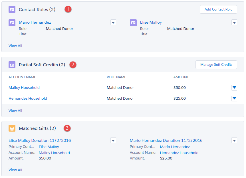 View results of matched gifts as soft credits