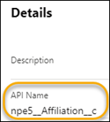 API Name in Details dialog