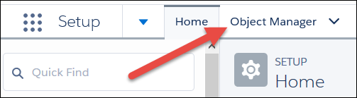 Object Manager tab in the Setup window.
