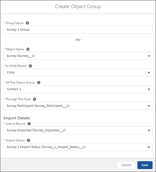 Create Object Group dialog with fields populated for a new Survey 1 Group Object Group