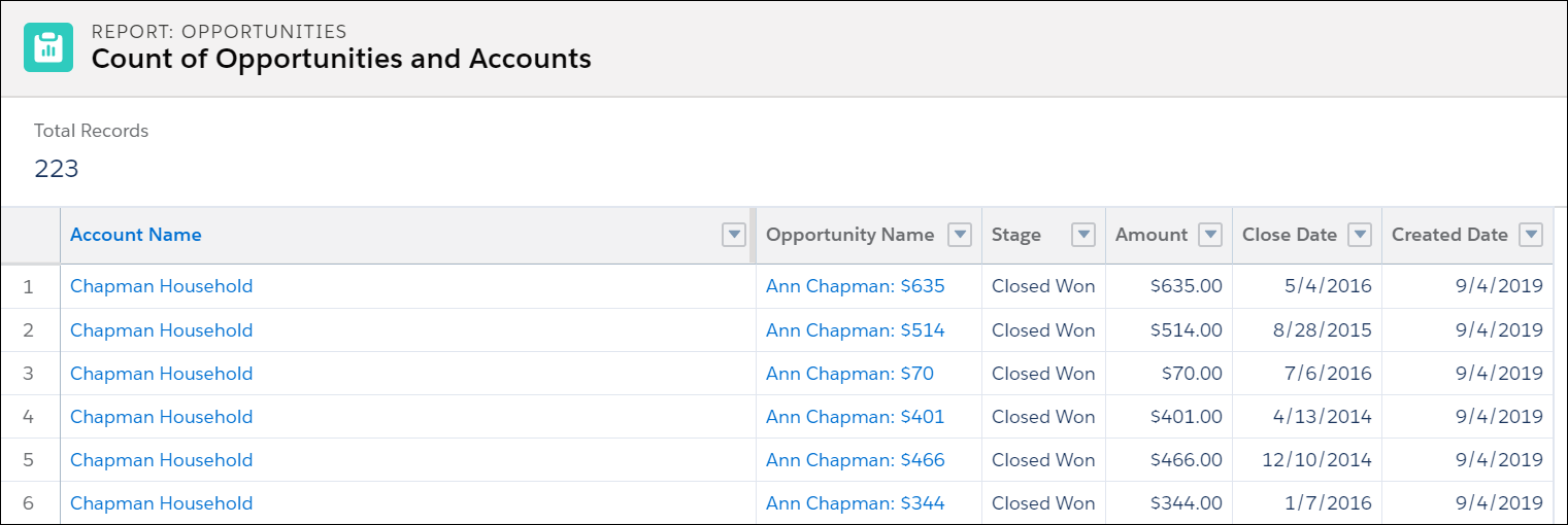 An Opportunity report with 223 Total Records
