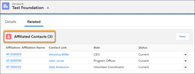 Test Foundation Account screen, showing related list of Affiliated Contacts.