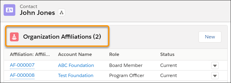 Contact screen for John Jones with related list of his Organization Affiliations.