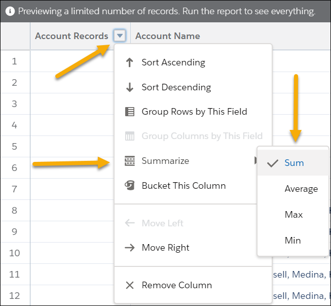 Select the Sum function under Summarize for the Account Records field.