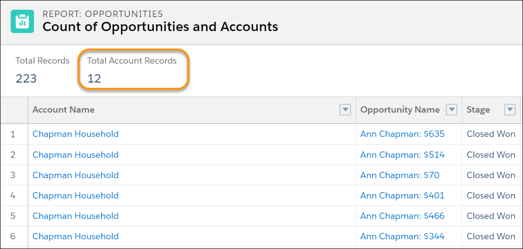 Report showing both Total Opportunity Records and Total Account Records
