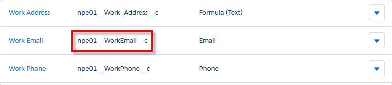 Work Email API Name