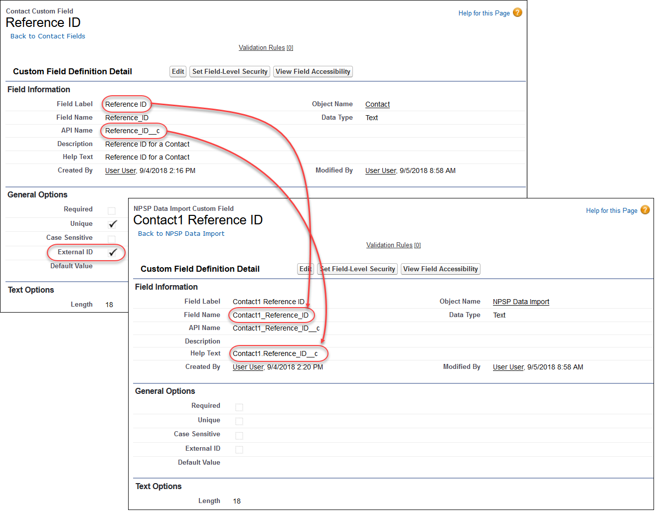 A screenshot comparing the Contact custom field with the corresponding NPSP Data Import field