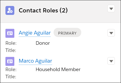 Contact Roles related list showing two household members. One has the Donor role, and the other has Household Member.