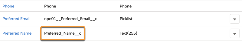 List of fields with API Name highlighted