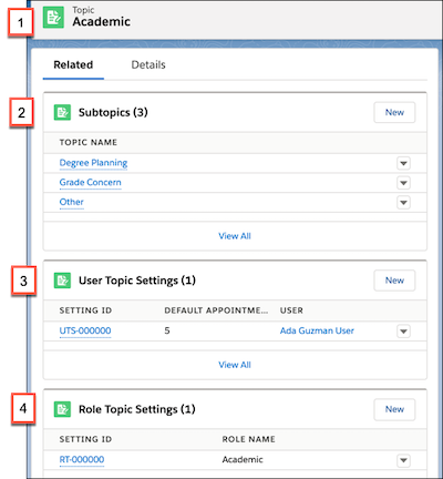 A Topic record showing the Subtopics, User Topic Settings, and Role Topic Settings related lists