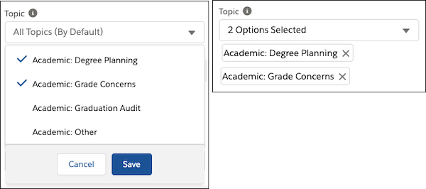 The Topic multi-select picklist with the Academic:Scheduling and Academic:Study Abroad pairs selected, and saved.