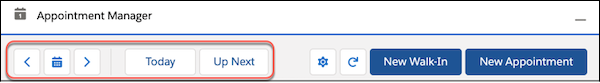 The Appointment Manager with a call-out on the date selection navigation buttons