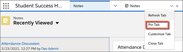 The Notes tab with its dropdown menu showing and a callout on the Pin Tab command
