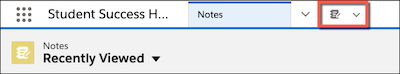 The pinned Notes tab icon in the app navigation bar