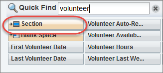 Section option on a page layout
