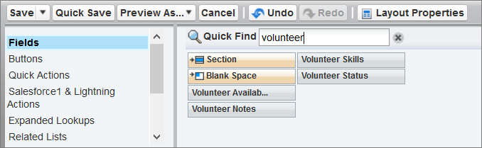 Volunteer fields to add to Lead layout