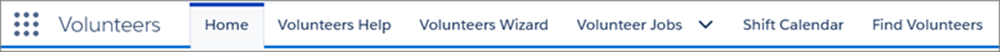 Tabs in the Volunteers for Salesforce app