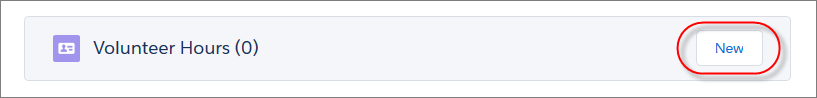 New button on the Volunteer Hours related list