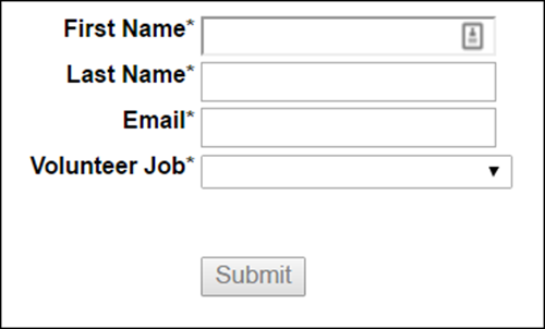 Website form for a volunteer to report hours volunteered