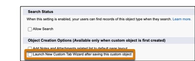 Launch New Custom Tab Wizard after saving this custom object checkbox.