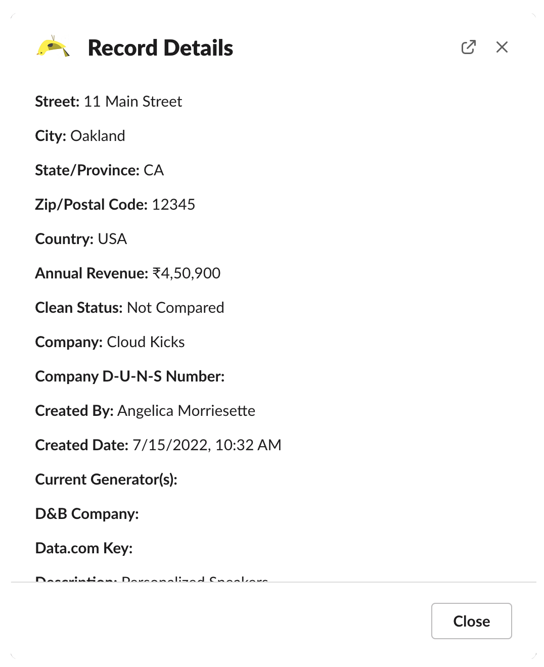 A screenshot of a Slack Record Layout containing 13 uneditable fields.