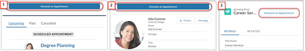 The Schedule an Appointment button is available on multiple pages in the portal