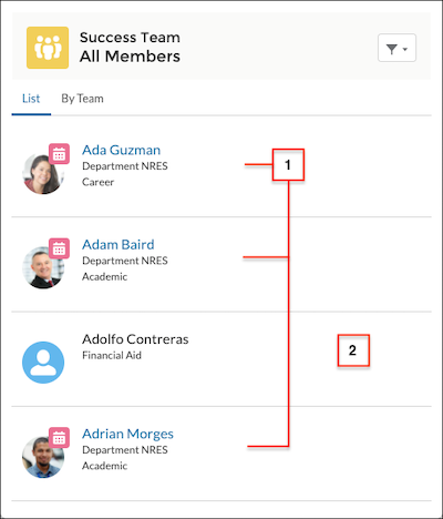 Users and Contacts in the success team list