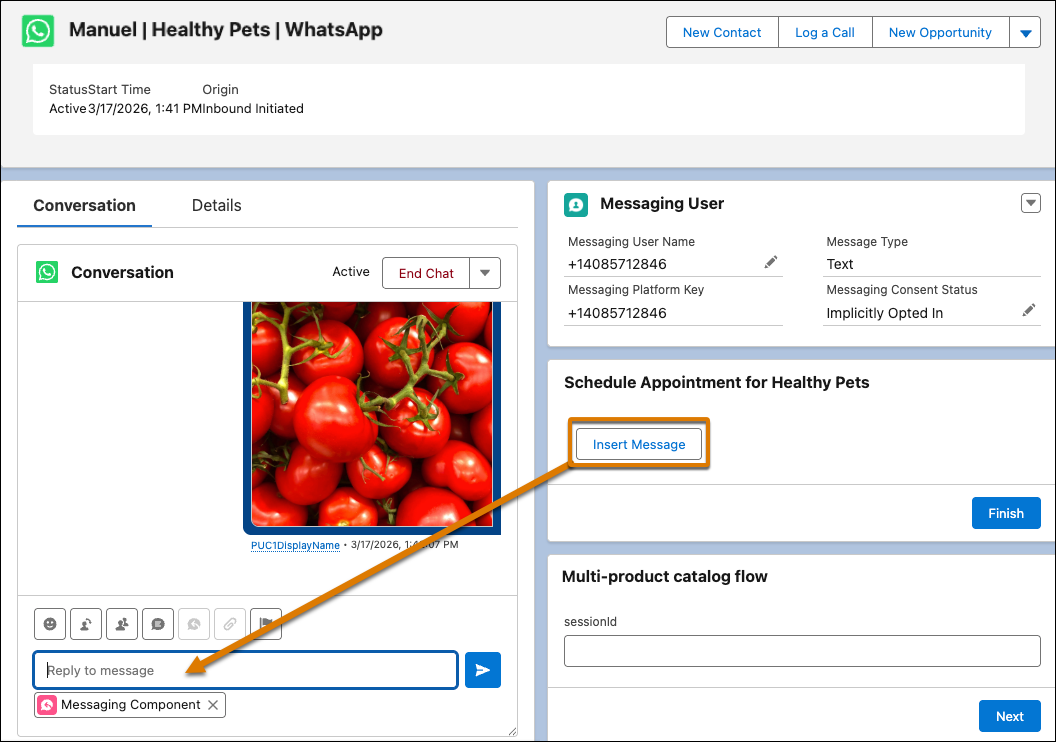Reps can click Insert Message to send it to the customer.