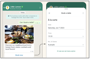WhatsApp Flow