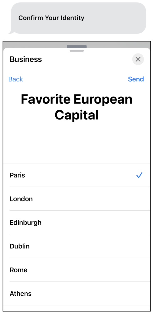 Apple Messages for Business 中的表单