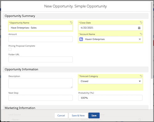 New Opportunity modal