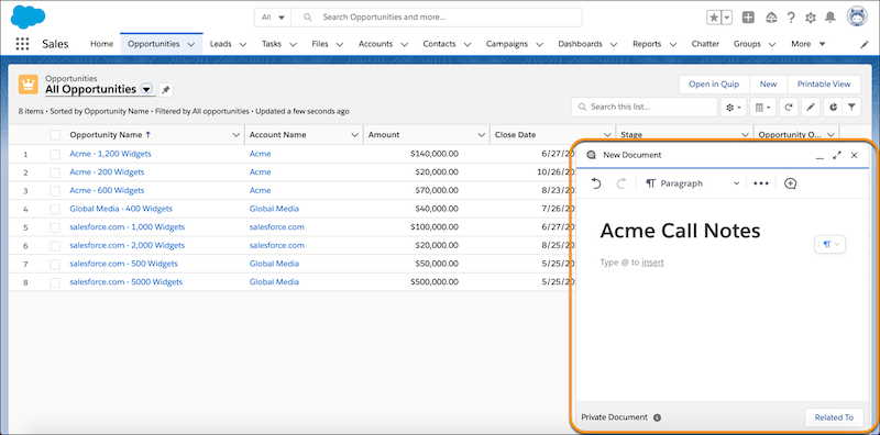 Acme Call Notes document in Lightning