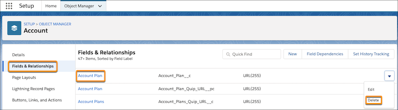 Account Plan custom field with Delete button highlighted