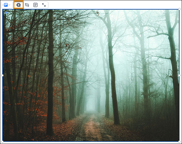 Comment on part of an image