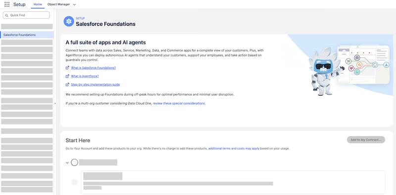Salesforce Foundations Setup page with sections and buttons