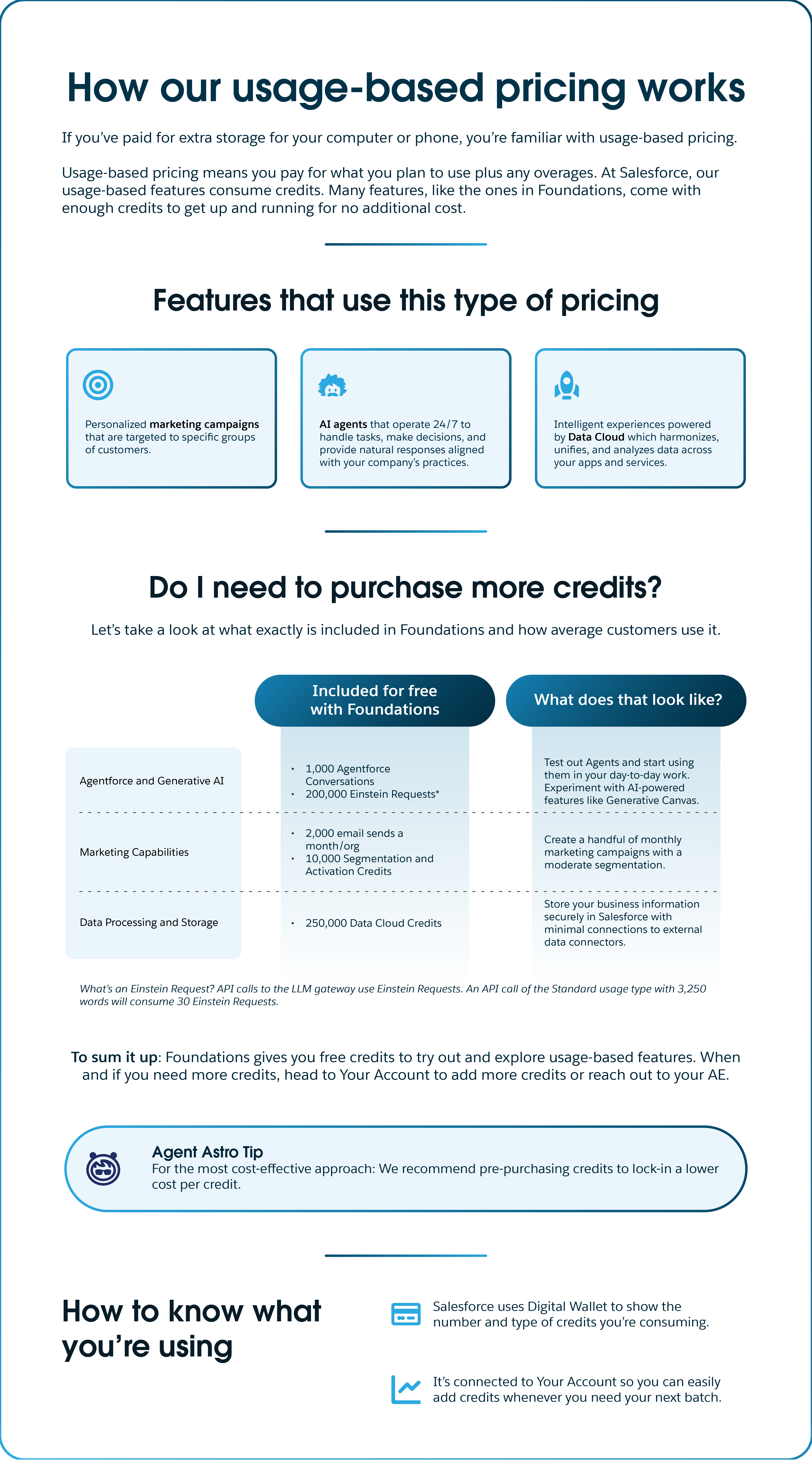 Une infographie montrant les différents éléments de la tarification basée sur l'utilisation dans Foundations.