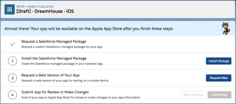Install a Managed Package