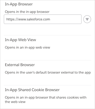 The fields that list URLs your app opens using an exception method
