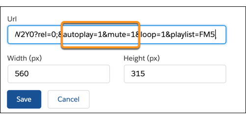 Set autoplay and mute to 1 in video URL for autoplay