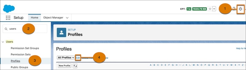 Página de configuração do Salesforce para perfis de usuário.