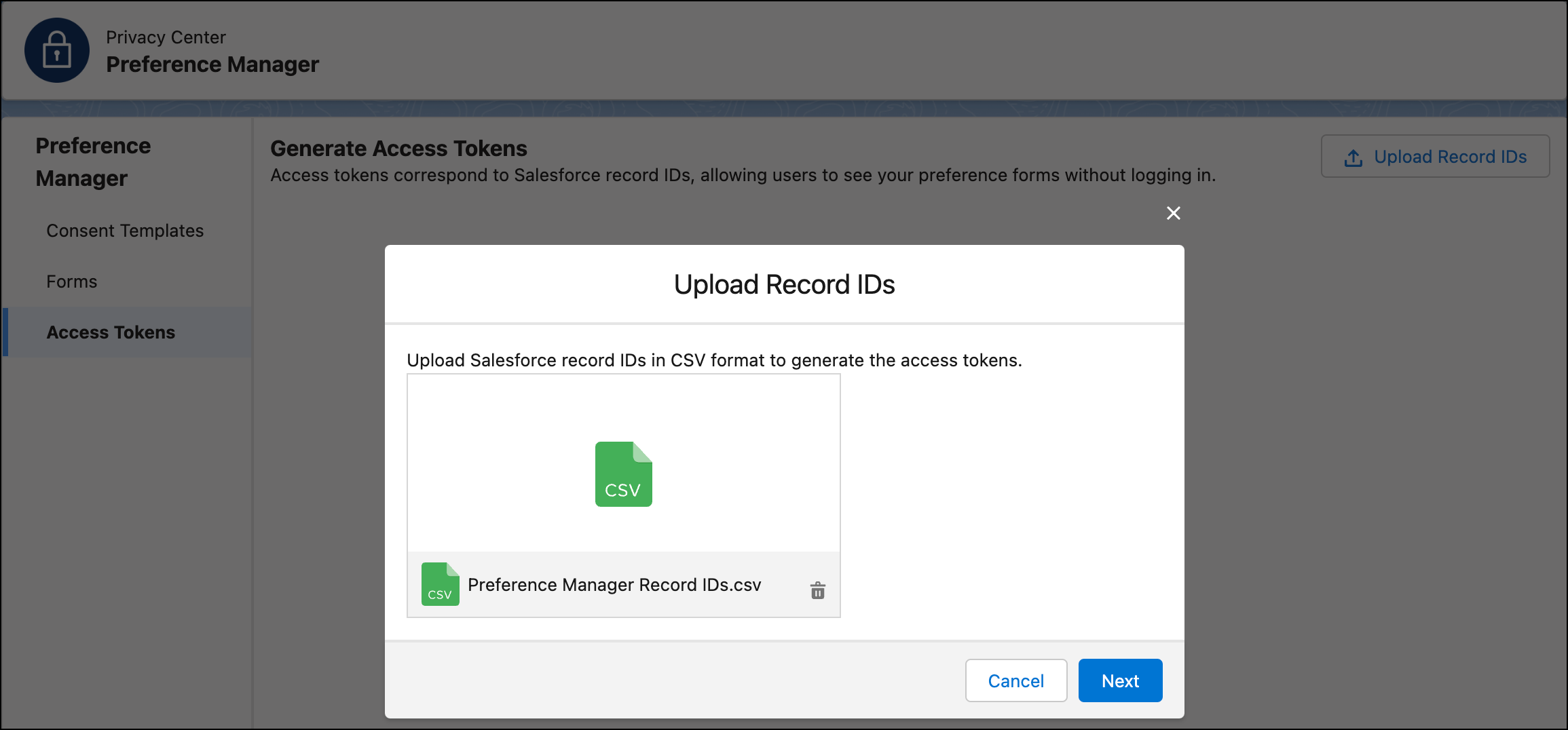 Dialog box to upload a CSV file for access tokens